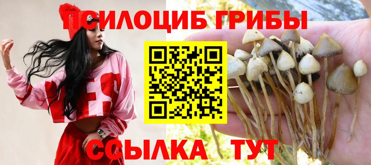 Псилоцибиновые грибы ЛСД  Вход с VPN  Серпухов 